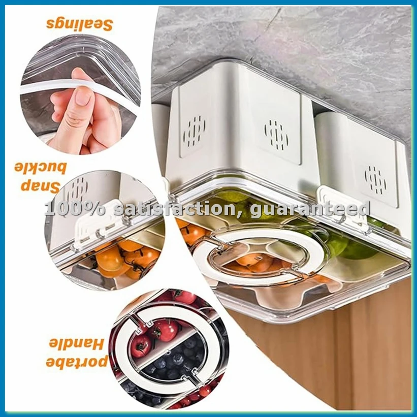 Fruit Tray for Large Picnic Re - Food And Snacks For Picnic 评论和价格