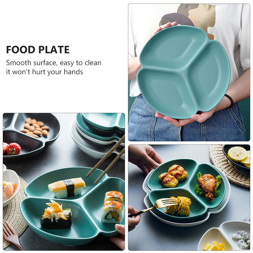 1Pcs Ceramic Divided Serving P - Food And Snacks For Picnic 评论和价格